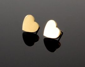 Orecchini Acciaio Cuore00 ORO