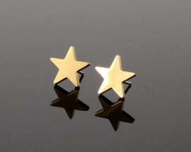 Orecchini Acciaio Stella00 ORO