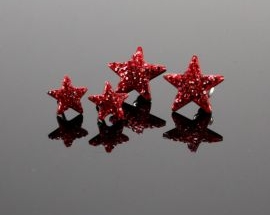 Orecchini Acciaio Stella Strass