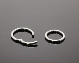 Piercing Segment Ring