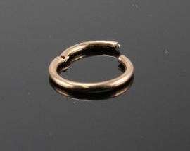 Piercing Segment Ring Rosa